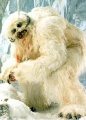 Wampa 2.jpg