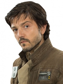 Cassian-andor.jpg