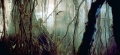 Dagobah 3.jpg