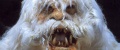 Wampa face.jpg