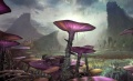 Felucia 4.jpg