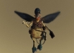 One_Watto