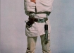Luke Skywalker (7)