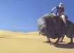 dewback