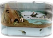 Yoda e l'acquario!