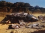 Episodio VII: Artworks e Concept Arts